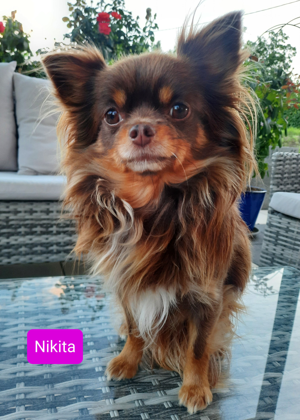 Nikita Du Val Gauthier